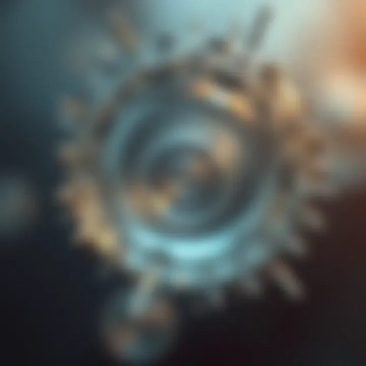 Diagram illustrating the stages of binary fission in a unicellular organism