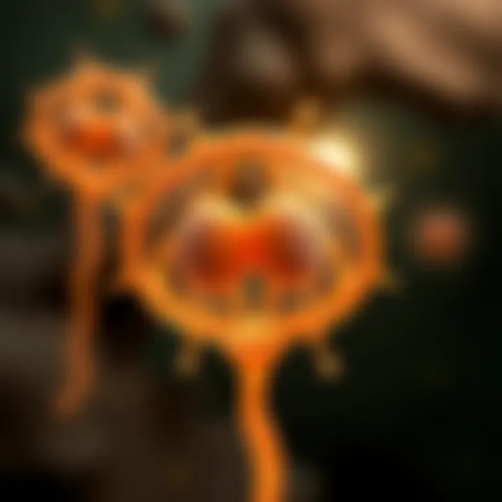 Illustration of amoeba's nucleus and cytoplasm splitting to form two separate cells