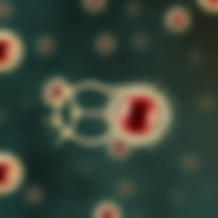 Diagram showing the sequential division of a bacterial cell during binary fission