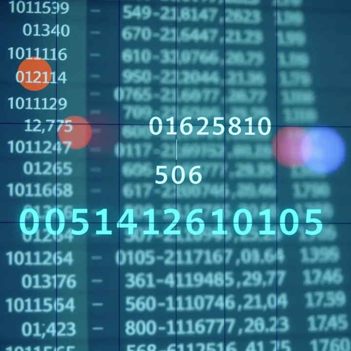 Understanding the Binary Number System